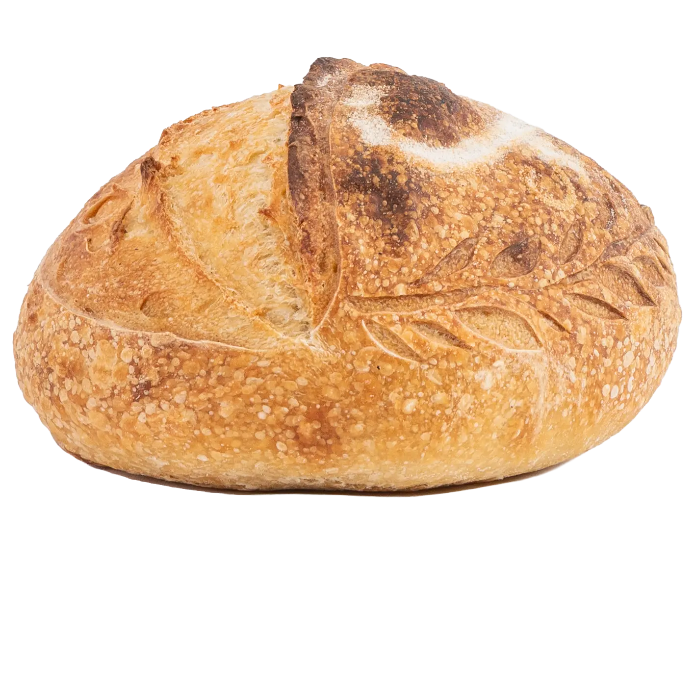 Sourdough Rustic Round