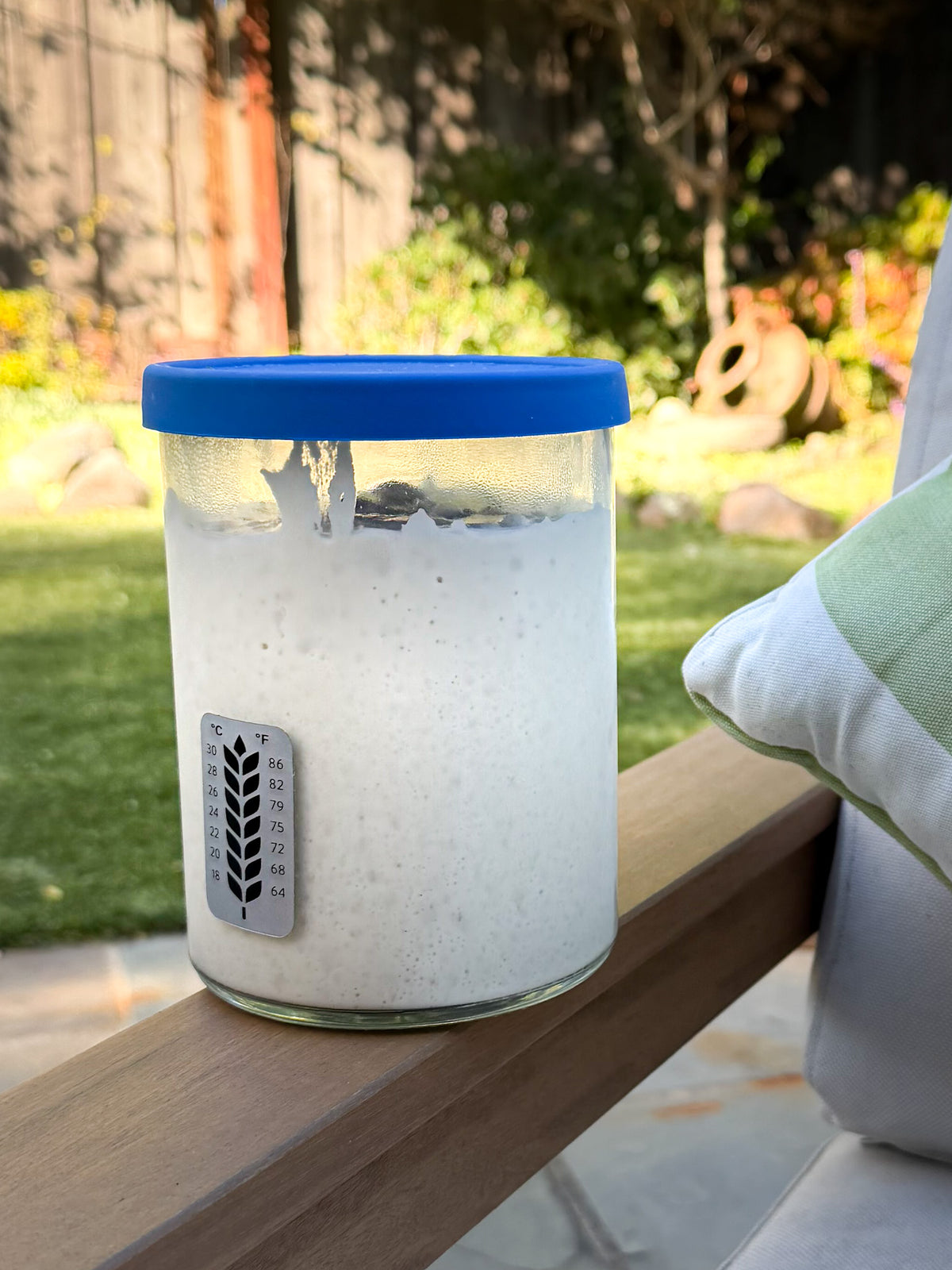 Bubbly sourdough starter in a jar